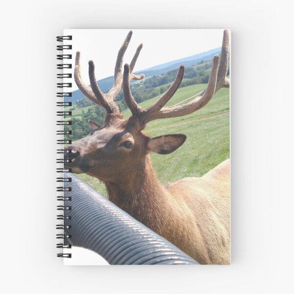 Item preview, Big Elk designed and sold by Lauryn1727.