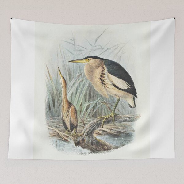 Item preview, Little Bitterns designed and sold by BeaverHeaven.