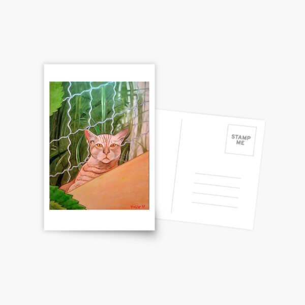 Miami Lewie Postcard