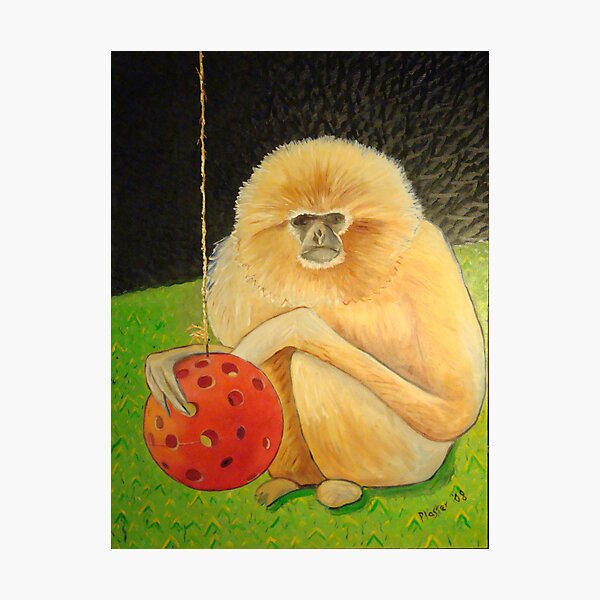 Psychic Monkey Photographic Print