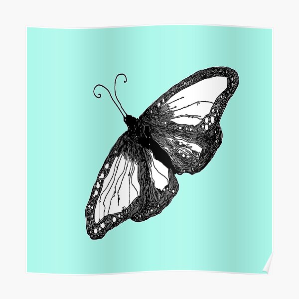 "Cute black and white Butterfly" Poster for Sale by Kyradem Redbubble