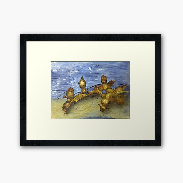 Look What Washed Up Framed Art Print