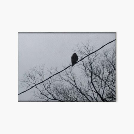 Item preview, photograph: hawk on powerline in silhouette with bare trees designed and sold by DigitalEurydice.