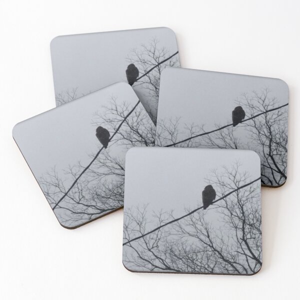 Item preview, photograph: hawk on powerline in silhouette with bare trees designed and sold by DigitalEurydice.