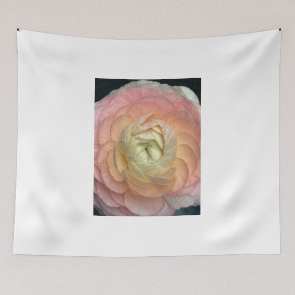 Item preview, ranunculus designed and sold by CiaoBellaJenny.