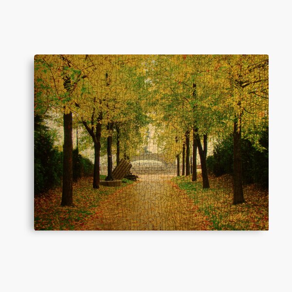 Meeting Terry Fox Canvas Print