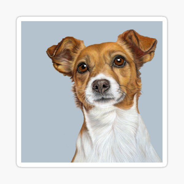 Jack Russell Terrier  Sticker