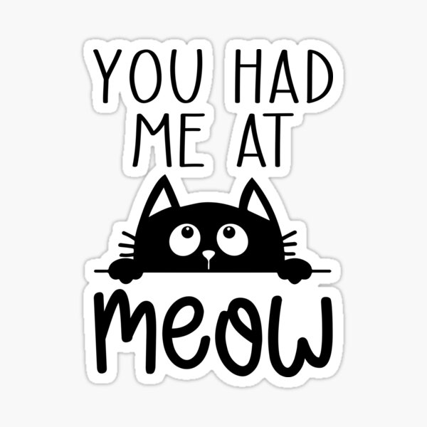 you-had-me-at-meow-sticker-for-sale-by-sanestatement99-redbubble