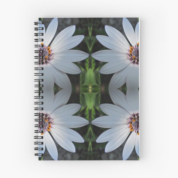 Item preview, Osteospermum in dappled sunlight designed and sold by BiodiversityRocks.