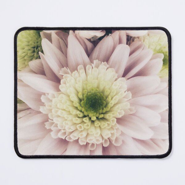 Item preview, Pastel Chrysanthemum  designed and sold by SallyHammond.