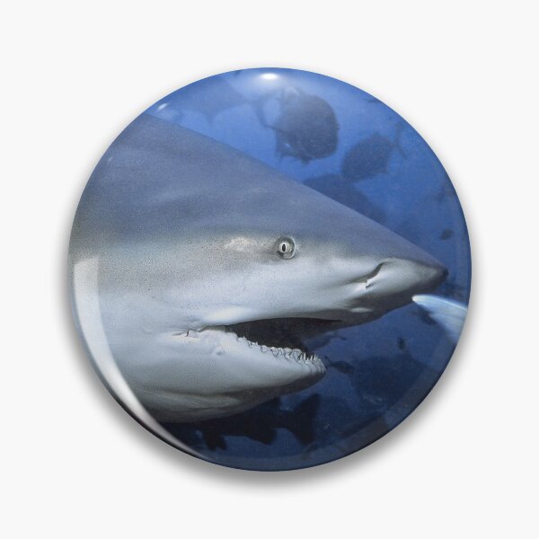 Item preview, Say What? designed and sold by terry goss.