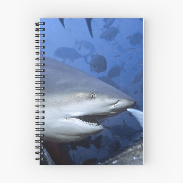 Item preview, Say What? designed and sold by terry goss.