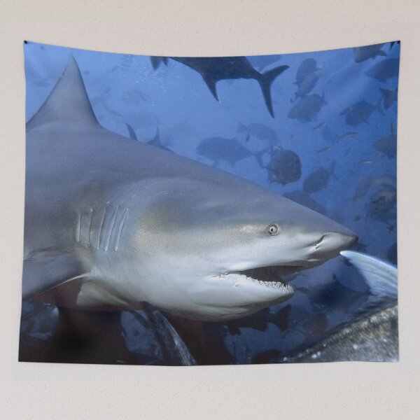 Item preview, Say What? designed and sold by terry goss.