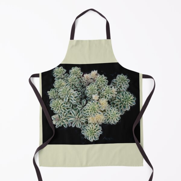 Item preview, Atlantis Sedum designed and sold by Gerda Grice Photography.