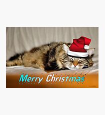 PARTY ANIMAL Photographic Print