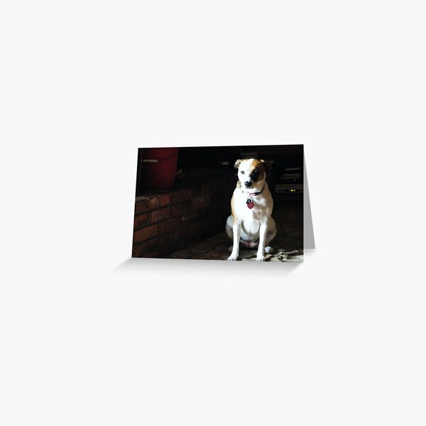 Beagle Baby Greeting Card