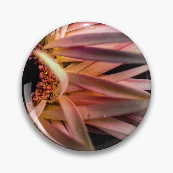 Item preview, gerberas designed and sold by CiaoBellaJenny.