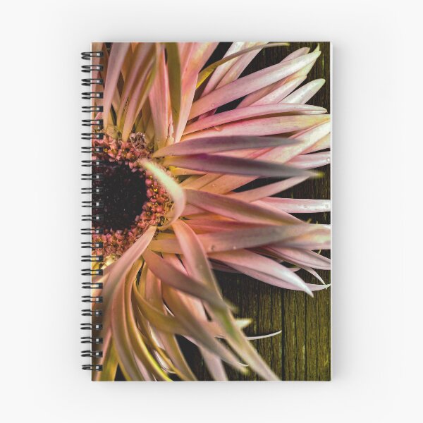Item preview, gerberas designed and sold by CiaoBellaJenny.