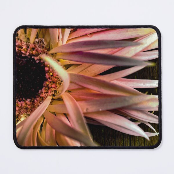 Item preview, gerberas designed and sold by CiaoBellaJenny.