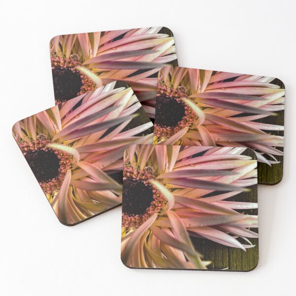 Item preview, gerberas designed and sold by CiaoBellaJenny.
