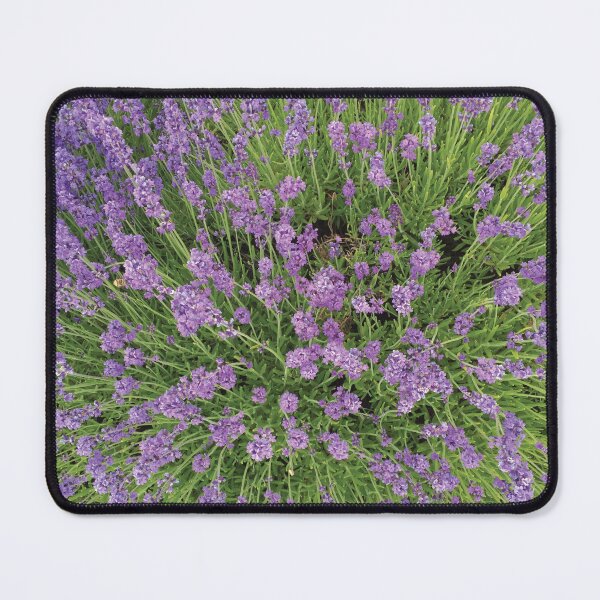 Item preview, Lavender a buzzing with bees… designed and sold by drumweaver.