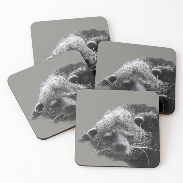 Item preview, Binturong designed and sold by andrew82984.