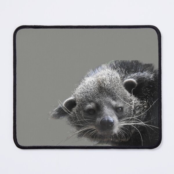 Item preview, Binturong designed and sold by andrew82984.