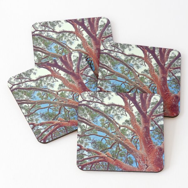 Item preview, Sydney Red Gum designed and sold by Cloudlingpics.