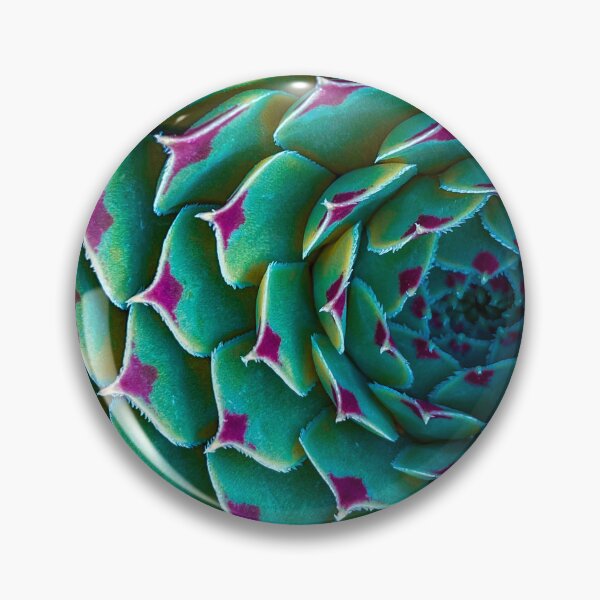 Item preview, Sempervivum calcareum designed and sold by CiaoBellaJenny.