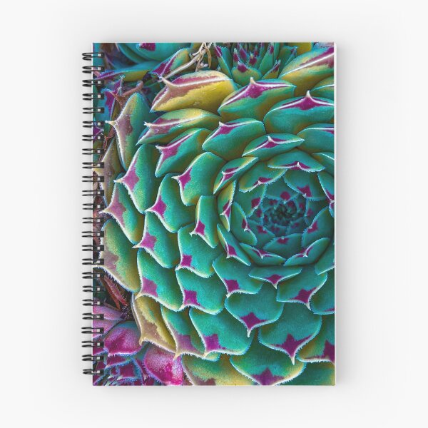 Item preview, Sempervivum calcareum designed and sold by CiaoBellaJenny.