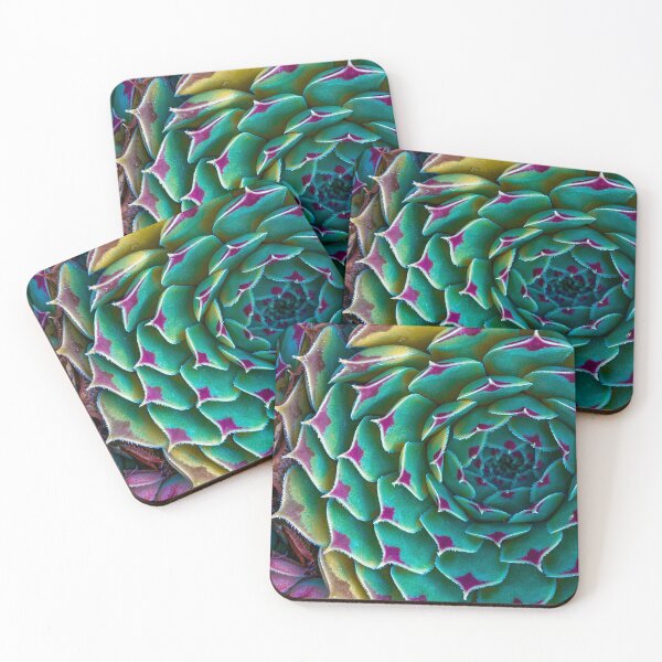 Item preview, Sempervivum calcareum designed and sold by CiaoBellaJenny.