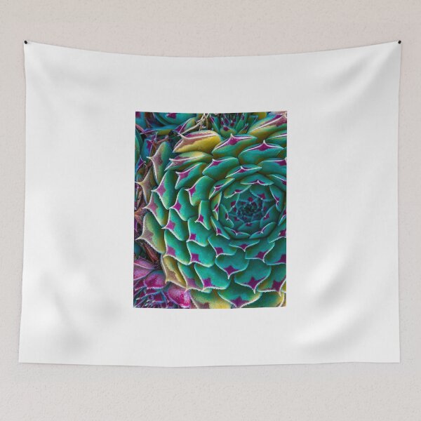 Item preview, Sempervivum calcareum designed and sold by CiaoBellaJenny.