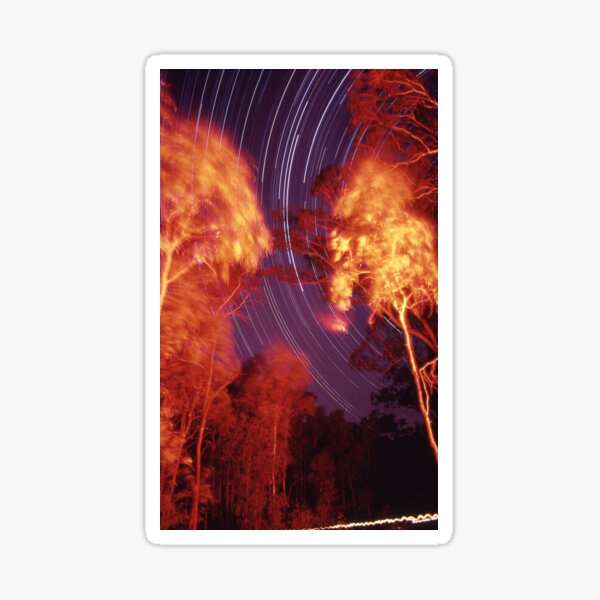 Star trails with 'flaming' trees Sticker