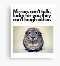 Funny and Amusing.... Canvas Print
