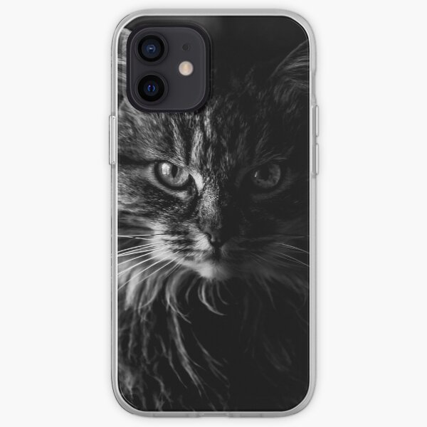 Curiosity caught the cat iPhone Soft Case
