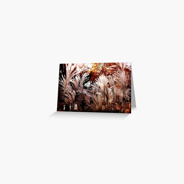Floral Fireworks Greeting Card