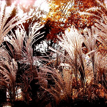Artwork thumbnail, Floral Fireworks by Alvin C Whaley