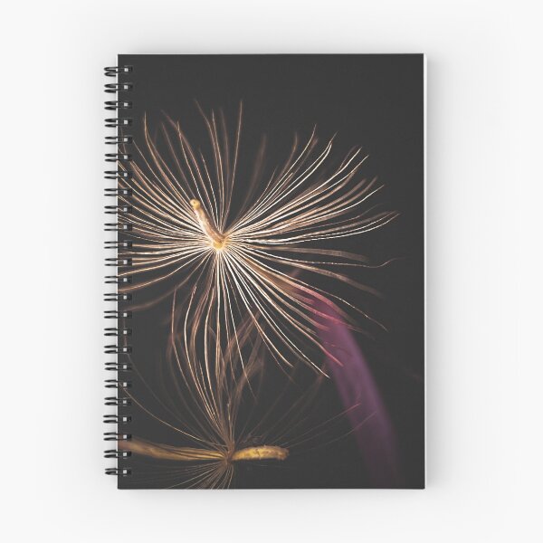 Item preview, Gerbera seed photography designed and sold by CiaoBellaJenny.
