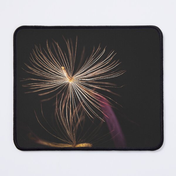 Item preview, Gerbera seed photography designed and sold by CiaoBellaJenny.