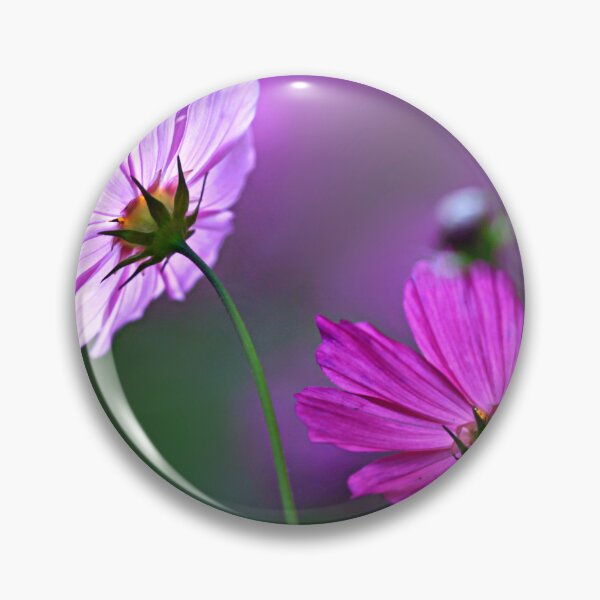 Item preview, Purple cosmos flowers on nature background designed and sold by olena2552.
