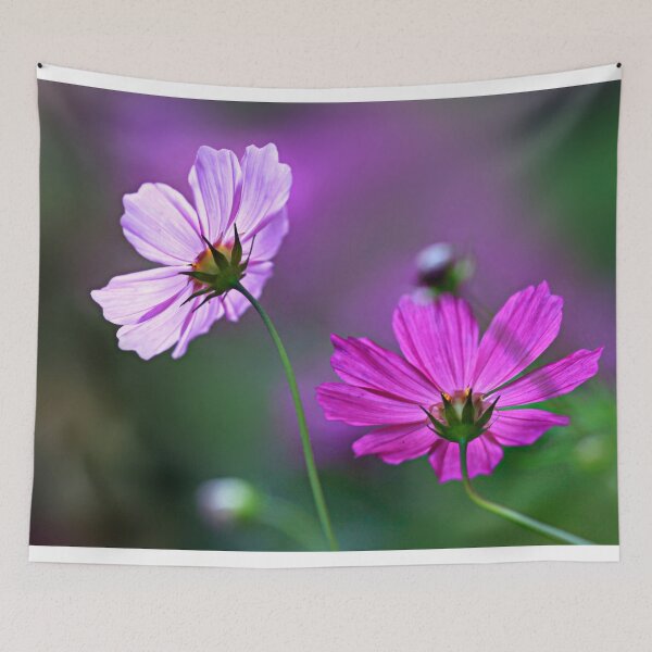 Item preview, Purple cosmos flowers on nature background designed and sold by olena2552.