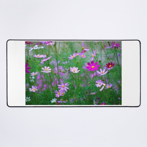 Item preview, Cosmos flowers on summer field designed and sold by olena2552.