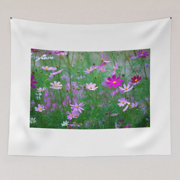 Item preview, Cosmos flowers on summer field designed and sold by olena2552.