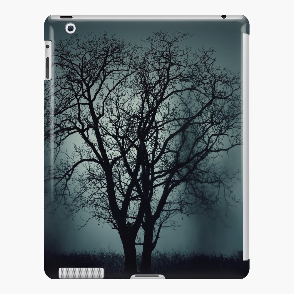 Item preview, iPad Snap Case designed and sold by BienThings.
