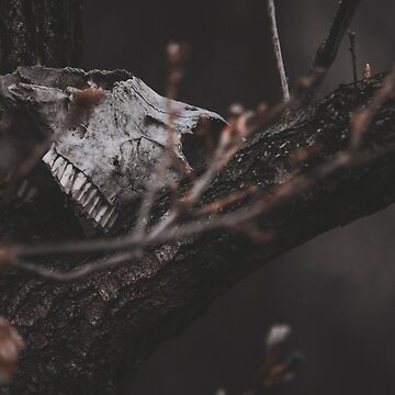 Artwork thumbnail, Scary Halloween by BienThings