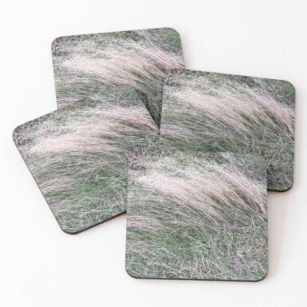 Item preview, Dry Grasses in a Gulf Island Field, Drumbeg Park, Gabriola designed and sold by drumweaver.