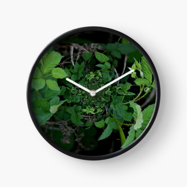Escape the Garden Clock
