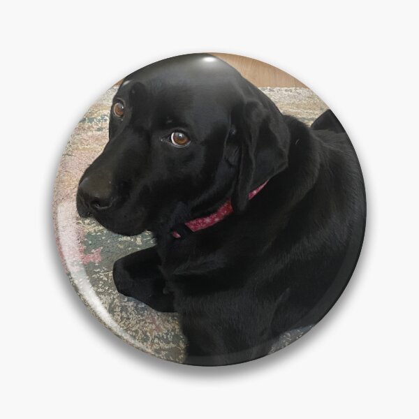 Item preview, Sassy Black lab designed and sold by LittleBirdInk.