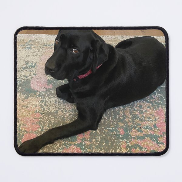 Item preview, Sassy Black lab designed and sold by LittleBirdInk.
