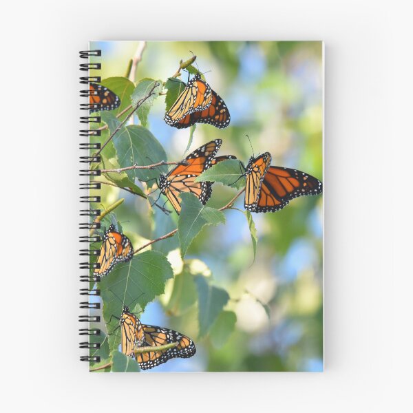 Item preview, Monarch migration designed and sold by telley20.